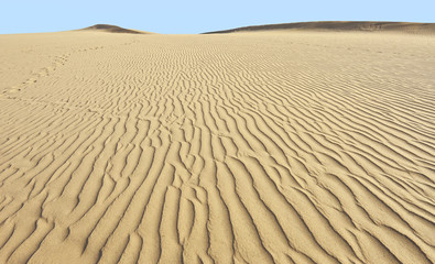 Fototapeta na wymiar Wydmy pustynia w Maspalomas Oasis, Gran Canaria