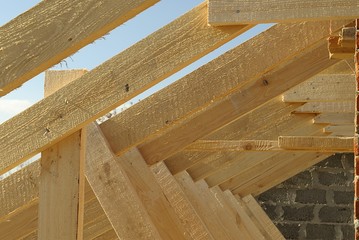 Roof timbers