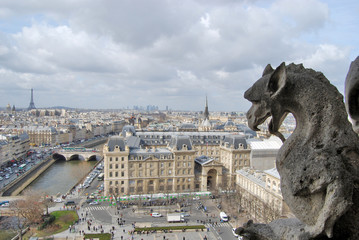 Los tejados de Paris desde la Catedral de Notre Dame.