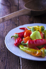 Paprika