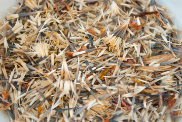 Seeds of marigold