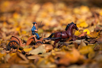 Rider of the autumn