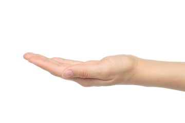 Open woman hand on white background