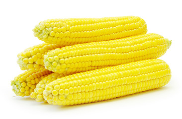 maize
