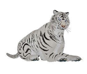 White tiger relaxing