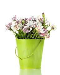 bouquet of beautiful summer flowers in bucket, isolated on