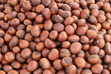 sweet chestnuts group