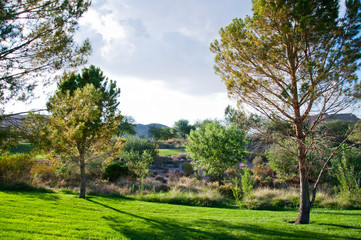 Bright sunset over green field.
