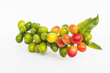 coffee on white ground