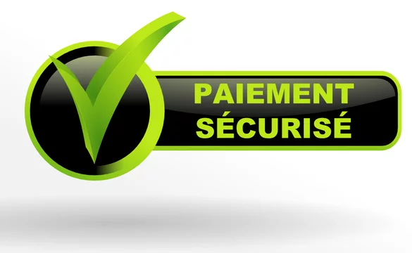 Paiement Securise Sur Bouton Valide Vert Et Noir Stock Vector Adobe Stock