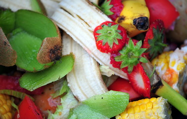 peelings for compost
