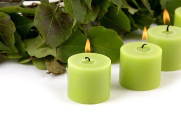 Row of burning candle and ivy background