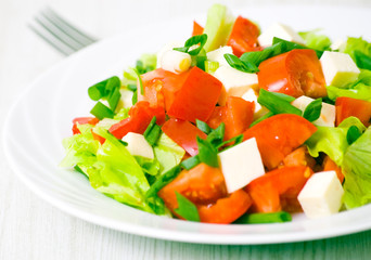 fresh vegetable salad with cheese