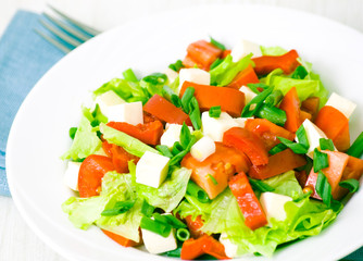 fresh vegetable salad with cheese