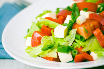 fresh vegetable salad with cheese