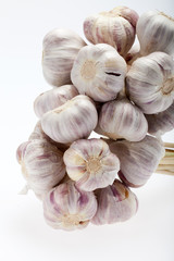 fresh garlic  on white background