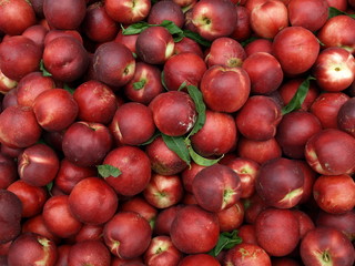 Peladillos