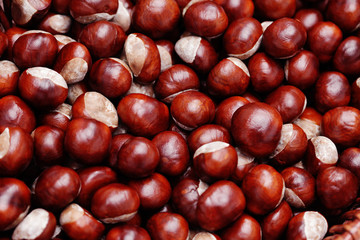 chestnuts