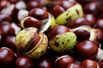 chestnuts
