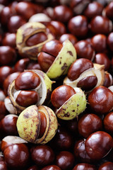 chestnuts