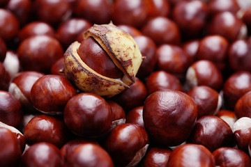 chestnuts