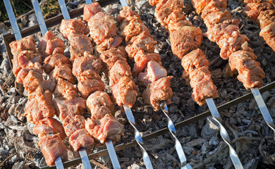 Shish kebab. Slices of meat