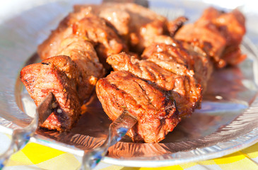 Shish kebab