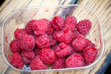 Fresh raspberry in plastic container