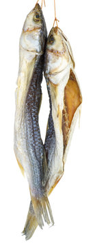 Two dried salted grey mullet fishes