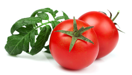 Red tomatoes with leaf