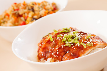 eel on rice,unaju, japanese unagi cuisine