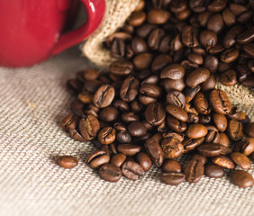 Roasted coffee beans, close-up
