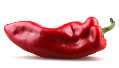 Red chilli peppers on white background.