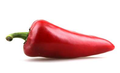 Red chilli peppers on white background. © Nenov Brothers