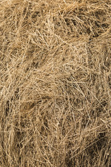 Closeup of hay bale