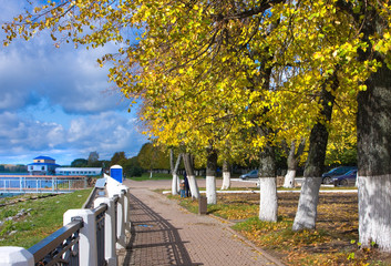 Beautiful nature, autumn alley