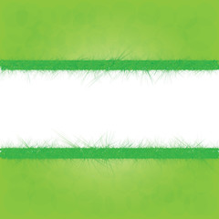 Summer background with green grass.