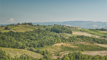 Fototapeta na wymiar Wzgórz Toskanii