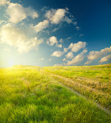 Summer landscape with green grass, road and clouds