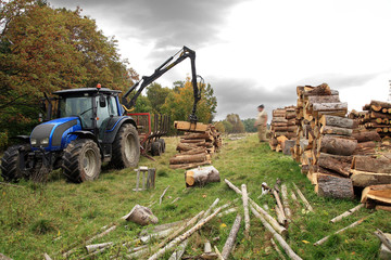 Unloading firewood.  Autumn works.