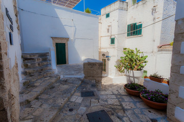 Fototapeta premium Puglia - Ostuni
