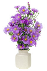 minimalistic  bouquet  - mini magenta chrysanthemums flowers
