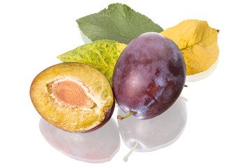 Two plums on leaves