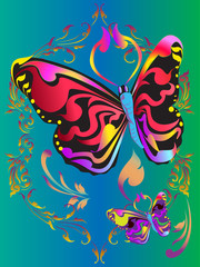 Butterfly