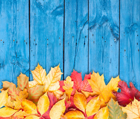 Naklejka na ściany i meble Autumn leaves over wooden background. Copy space.