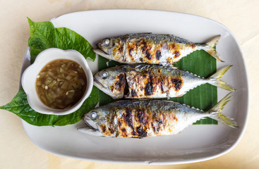 Grilled scomber fish