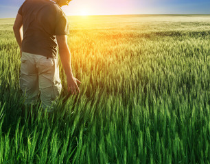 man in wheat field and sunlight © Liliia