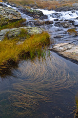 Fototapeta na wymiar Trawa w wodzie - Przełęcz San Bernardino