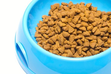Dry cat food in blue bowl