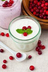 Yoghurt and berry dessert cream